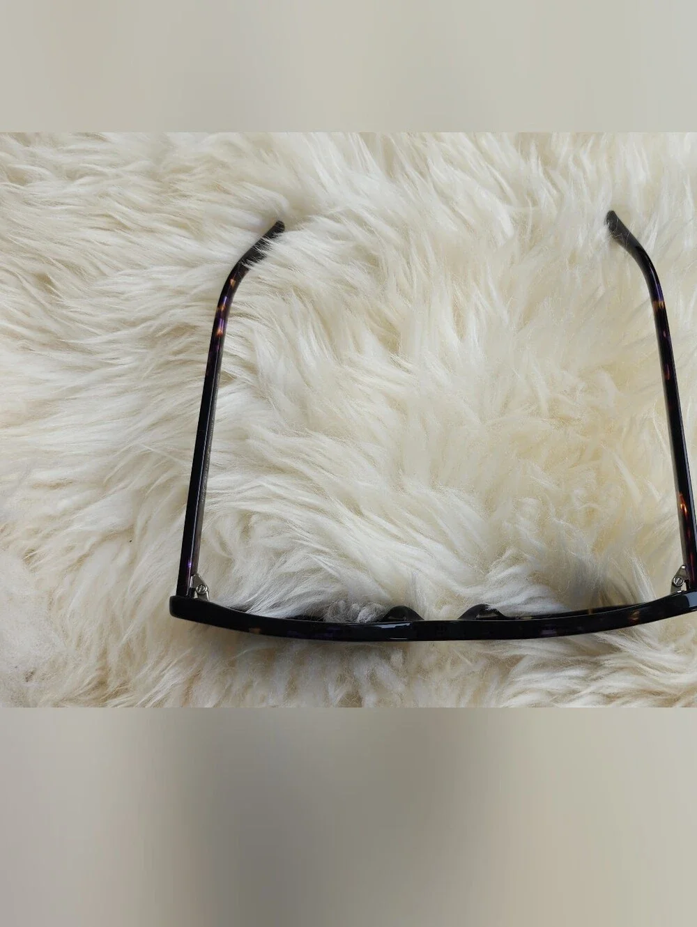 Quince sunglasses stylish